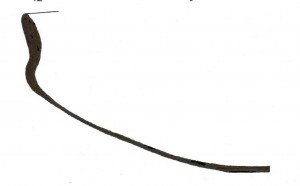 Figura 3 Croquis del perfil de una cazuela bruñida.